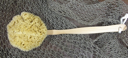 Natural Yellow Sea Sponge