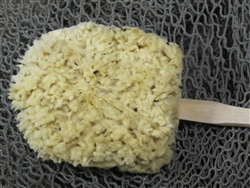 Natural Sea Sponge, Large Piece